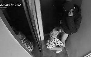 Hidden Camera - Wife sucks postman while will not hear of husband is asleep