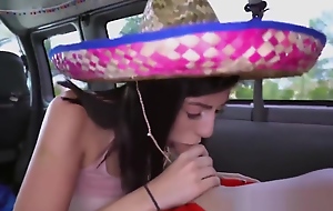 Young Natalie Brooks picked up to get fucked in the bang bus