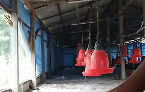 Misnamed brother-in-law together with drained the water.